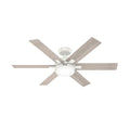 Georgetown Ceiling Fan with Light by Hunter