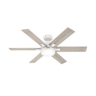 Georgetown Ceiling Fan with Light by Hunter