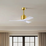 Matthews Fan Company-NK-BRBR-MWH-42|ALT|3