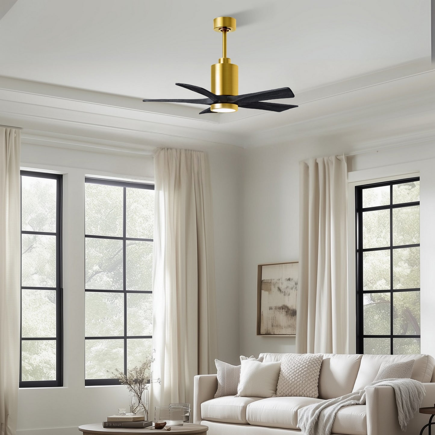 Matthews Fan Company-PA5-BRBR-BK-42|ALT|4