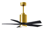 Matthews Fan Company-PA5-BRBR-BK-42|MAIN