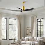 Matthews Fan Company-PA5-BRBR-BK-60|ALT|4