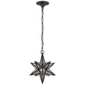 Moravian Star Outdoor (Damp) Lantern by Visual Comfort Signature