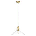 Dwyer Pendant by Acclaim Lighting