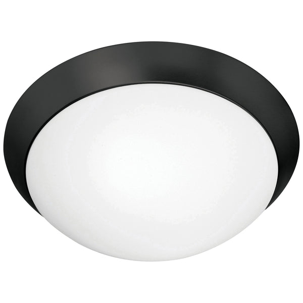 Cobalt Flush Mount by Access