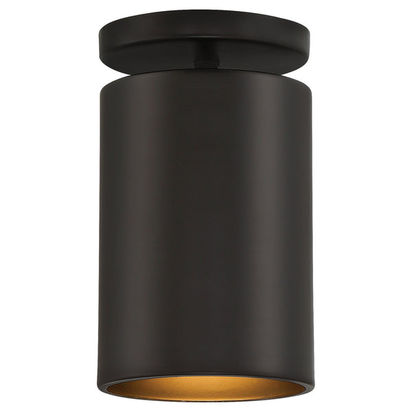 Pint Outdoor (Wet) Semi-Flush Mount Ceiling Light by Access