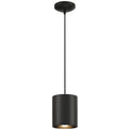 Pilson XL Outdoor (Damp) Pendant by Access