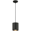 Pilson XL Outdoor (Damp) Pendant by Access