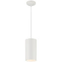 Pilson XL Outdoor (Damp) Pendant by Access