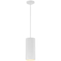 Pilson XL Outdoor (Damp) Pendant by Access