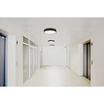 Access-49960LEDD-BL/ACR|ALT|1