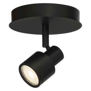 Lincoln Flush Mount Ceiling Light by Access