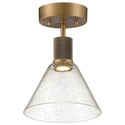 Port Nine Martini Outdoor (Damp) Semi Flush Mount Light by Access
