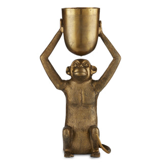 Abu Collection Planter by Currey and Company