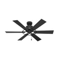 Gilrock Ceiling Fan by Hunter