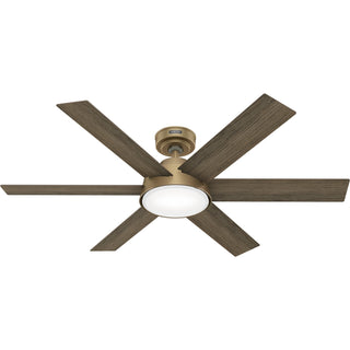 Donatella Ceiling Fan with Light by Hunter