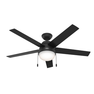 Buy matte-black-finish-with-matte-black-and-reversible-salted-black-blades Anslee Ceiling Fan with Light by Hunter