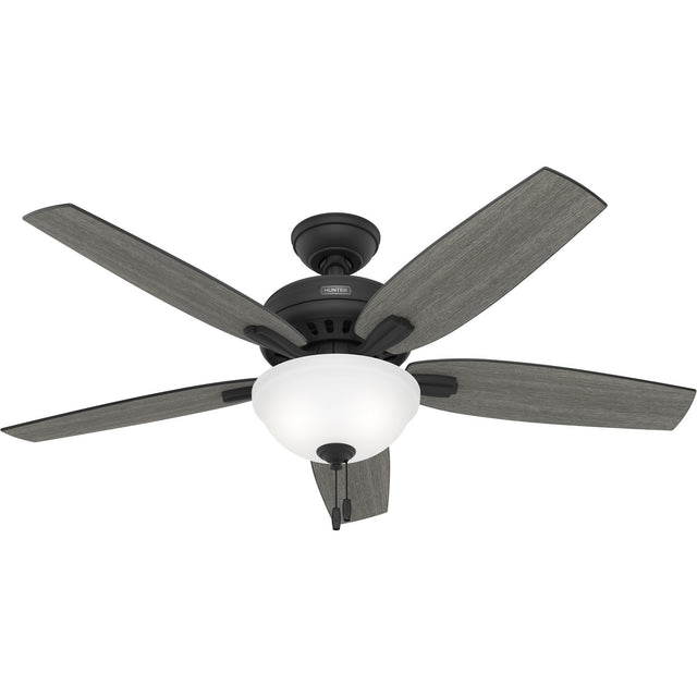 Newsome Ceiling Fan with Light by Hunter