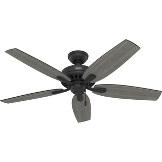 Newsome Ceiling Fan by Hunter