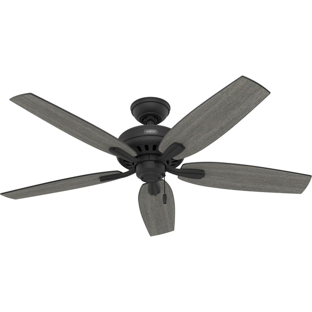 Newsome Ceiling Fan by Hunter