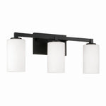 Capital Lighting-119831BI-545|MAIN
