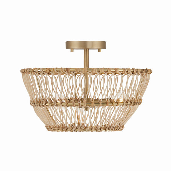Wren Pendant by Capital Lighting
