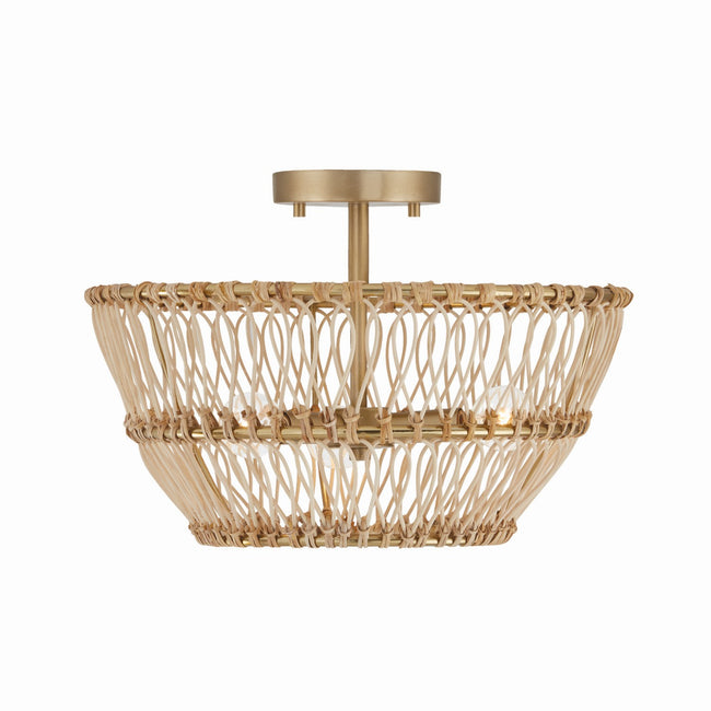 Capital Lighting-244131MA|MAIN