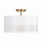 Capital Lighting-250231AW|MAIN