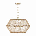Wren Pendant by Capital Lighting