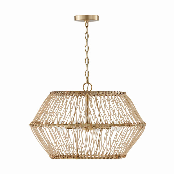 Wren Pendant by Capital Lighting