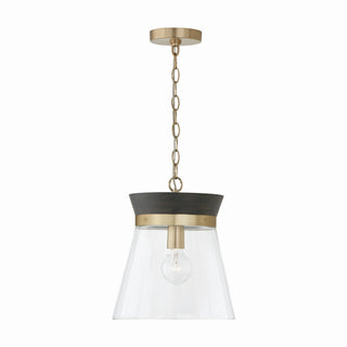 Finn Pendant by Capital Lighting