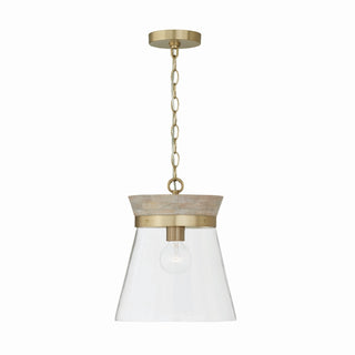 Buy white-wash-and-matte-brass Finn Pendant by Capital Lighting