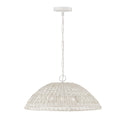 Naomi Pendant by Capital Lighting