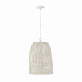 Naomi Pendant by Capital Lighting