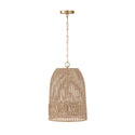 Naomi Pendant by Capital Lighting
