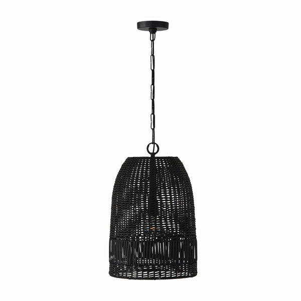 One Light Pendant from the Naomi Collection in Matte Black Finish by Capital Lighting (Clearance Display, Final Sale)