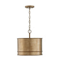 Nole Pendant by Capital Lighting