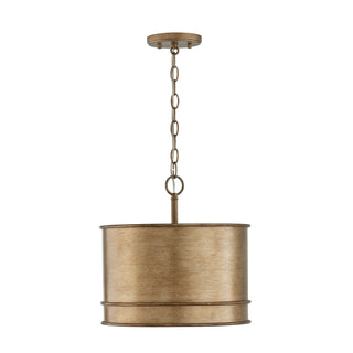 Nole Pendant by Capital Lighting