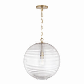 Dolan Pendant by Capital Lighting