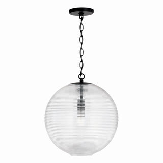 Buy matte-black Dolan Pendant by Capital Lighting