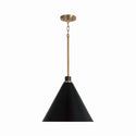 Bradley Pendant by Capital Lighting