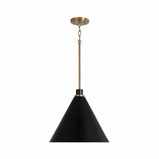 Bradley Pendant by Capital Lighting
