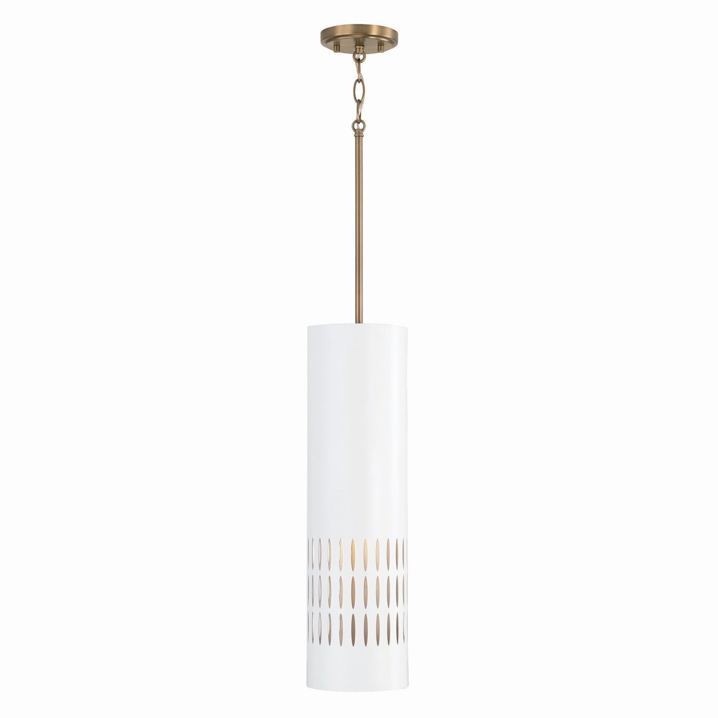 Dash Pendant by Capital Lighting