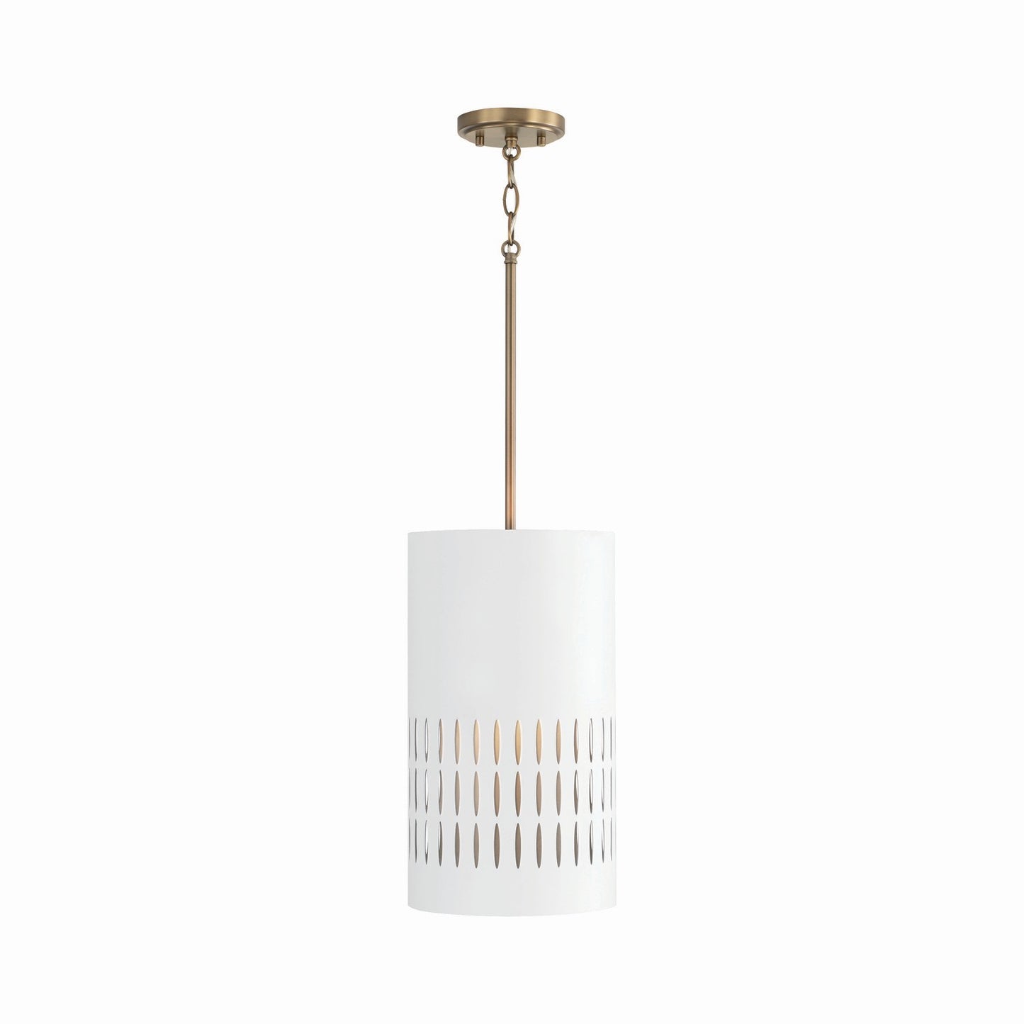Dash Pendant by Capital Lighting