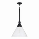Paloma Pendant by Capital Lighting