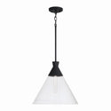 One Light Pendant from the Paloma Collection in Textured Black Finish by Capital Lighting (Clearance Display, Final Sale)