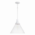 Paloma Pendant by Capital Lighting