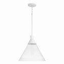 Paloma Pendant by Capital Lighting