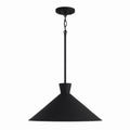 Paloma Pendant by Capital Lighting
