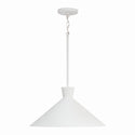 Paloma Pendant by Capital Lighting